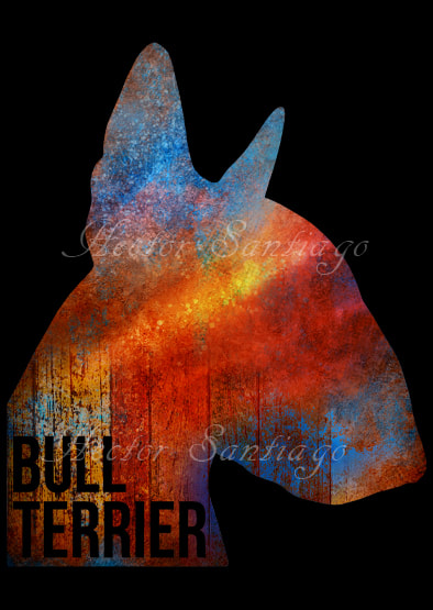 Bull Terrier Digital Art by Artist H. Santiago
