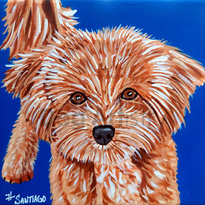 Fluffy dog painting by H. Santiago
