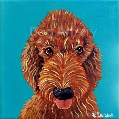 Labradoodle Painting by artist H. Santiago