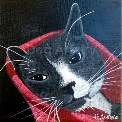 Cat painting by artist H. Santiago