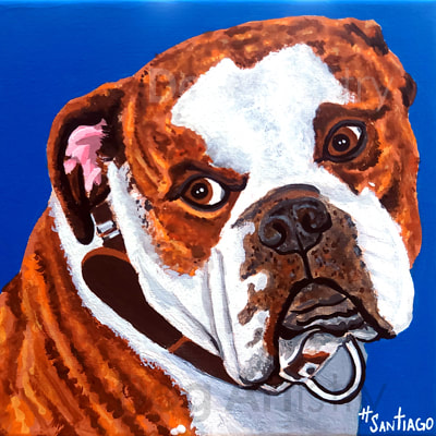 Pitbull Painting by artist H. Santiago